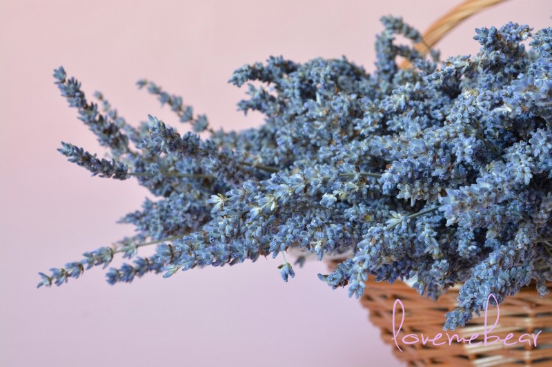 lavanda